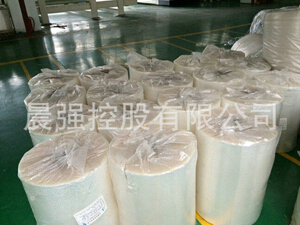 cpp紙巾流延膜的市場開發